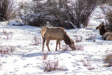 Hotell Telluride Town Jewel
