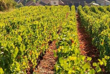 پانسیون Le Nid Bourguignon