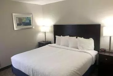 Hotelli Best Western Plus Lafayette Vermilion River Inn & Suites