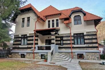 Pensiune Vila Micsunica