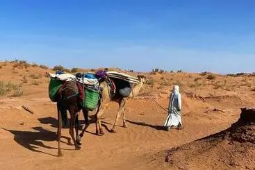 Pensione Erg Chigaga Safari Camp