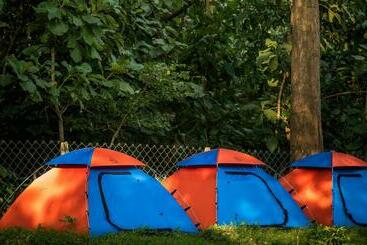 Dandeli Nature Resort