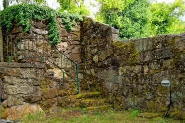 Zen Vouga