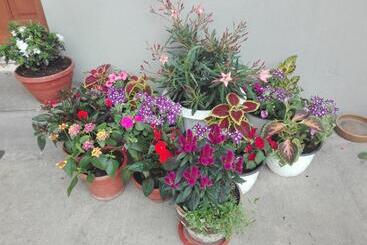 ペンション Kalotaszeg Vendégház