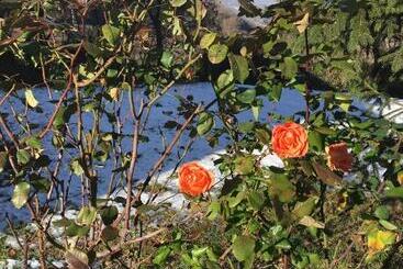 مبيت وإفطار Gli Acini