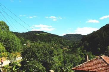 Pensionat вила ирена