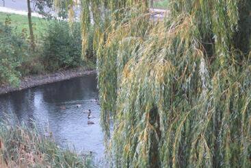 پانسیون Zimmervermietung Zum See