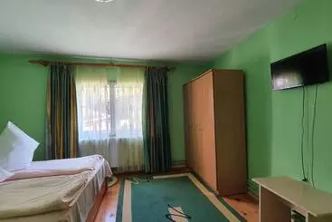 ペンション Casa Petruta Dambovicioara