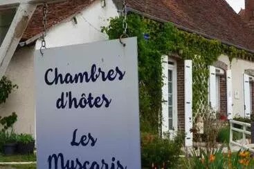 ペンション Chambres D Hôtes Les Muscaris