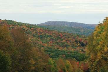 호텔 Cold Spring Lodge