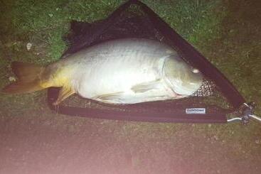 Bed and Breakfast Tüttös Vendéghàz