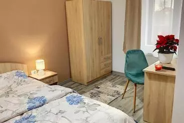 Pensiunea Bozi Timisoara