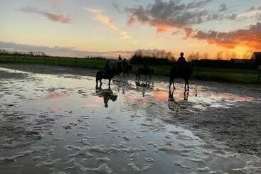 Bed and Breakfast The Horse Farm