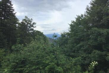 酒店 Hôtel Restaurant La Fourmi