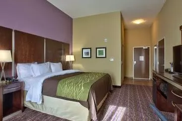 فندق Comfort Inn & Suites Dothan East