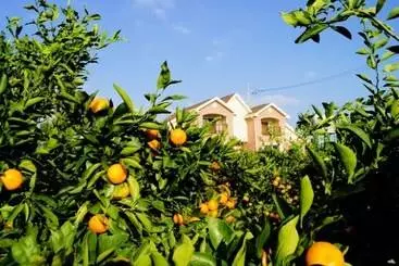 Seoguipo Lucky Clover Pension