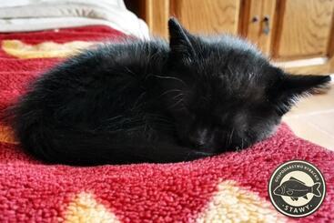 Gospodarstwo Rybackie Stawy