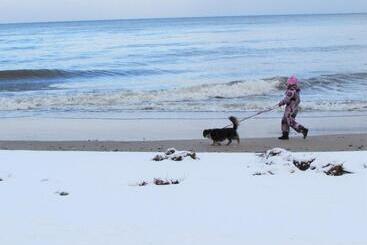 민박 Willa Wiktoria W Rozewiu   Parking W Cenie!