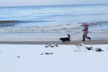 Aamiaismajoitus (B&B) Willa Wiktoria W Rozewiu   Parking W Cenie!