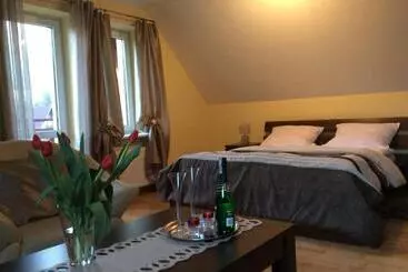 Bed and Breakfast Willa Pod Starą Skocznią