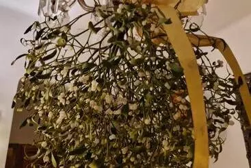 Aamiaismajoitus (B&B) Willa Marysin