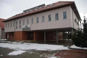 Hotelli Pod Złotą Koroną