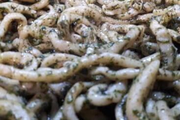 Agriturismo Fonte Magria