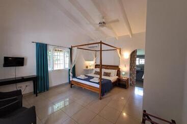 Bed & Breakfast Casa Mapache