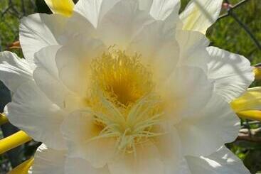 Aamiaismajoitus (B&B) 有山有谷民宿