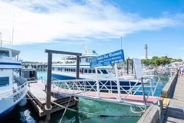 تختخواب و صبحانه Admiral S Landing