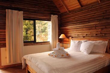 Bed and Breakfast Tree Trek Boquete Adventure Park