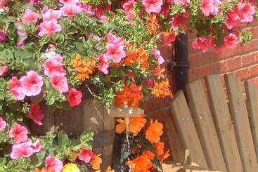 فندق The Walnut Tree Inn