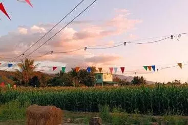 Pensió ที่พักสีเขียว