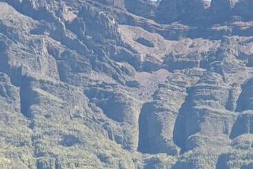 膳宿费 Le Vigneron