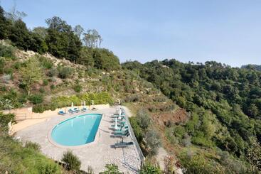 Gli Ulivi Di Montalbano 1