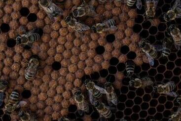 Agriturismo Da Natalino