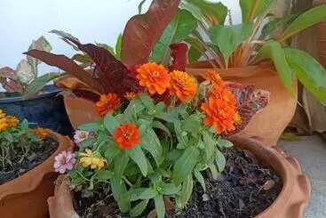 Hotelli Homey Hut Ayutthaya