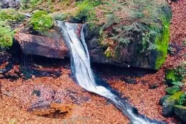 Pensiune Dworek Ewunia