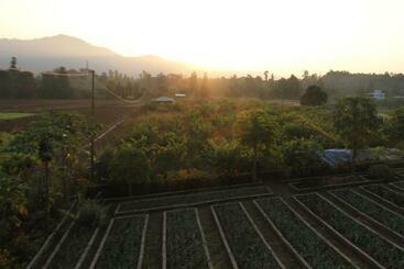 Forest Side Farm Rooms With View Of Hills, Jungle And Farm Lands