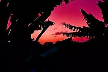 ペンション Cofinca