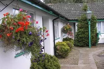 Nocleg ze śniadaniem The Willow House