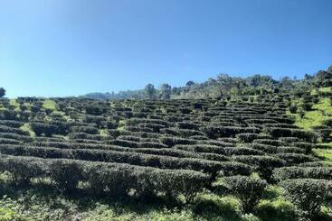 Hotel Chiangrai Resort House