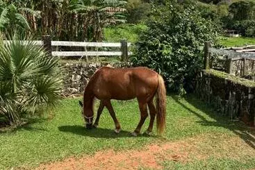 Pension Fazenda Do Engenho