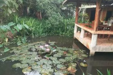 Pensió ต้งโฮมหละปูน ณ ตูบคำ