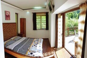 پانسیون Montana