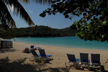 Отель Island Beach Comber