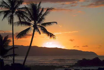 Отель Island Beach Comber