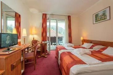 ホテル Erzsébet Park