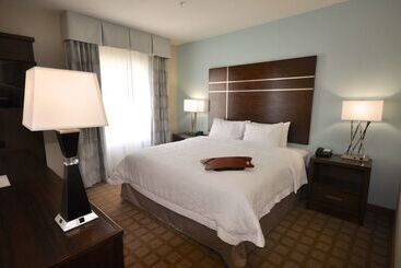 Hotel Hampton Inn & Suites Hutto Austin