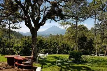 Bed & Breakfast Bosque Macadamia